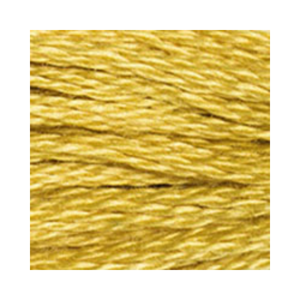 DMC Six-Strand Embroidery Floss