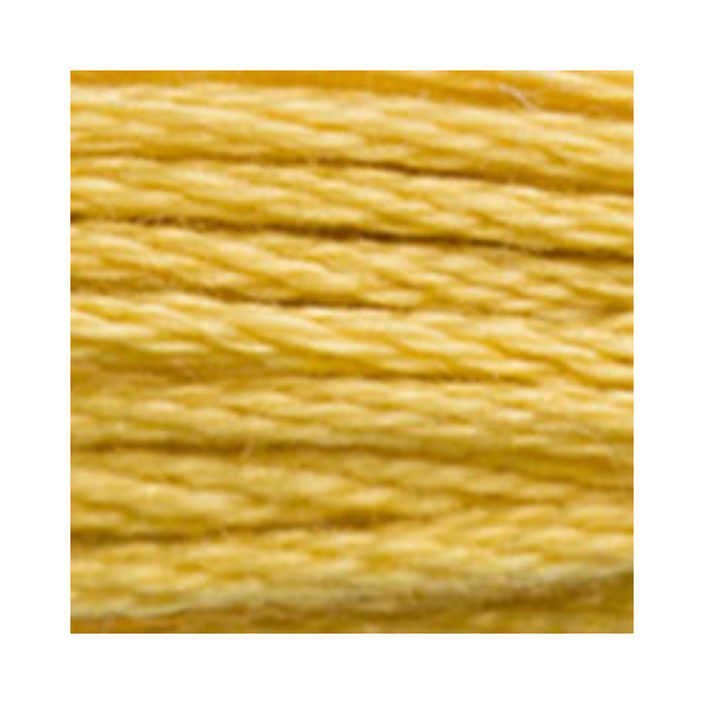 DMC Six-Strand Embroidery Floss