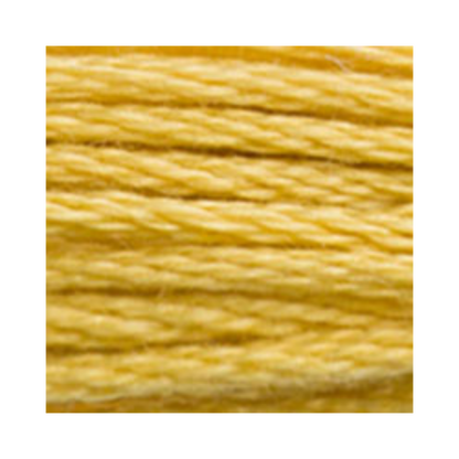 DMC Six-Strand Embroidery Floss