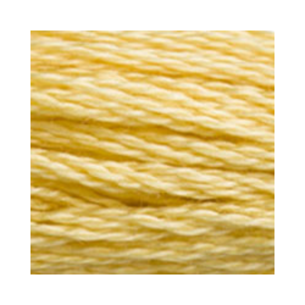 DMC Six-Strand Embroidery Floss