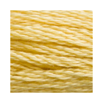 DMC Six-Strand Embroidery Floss