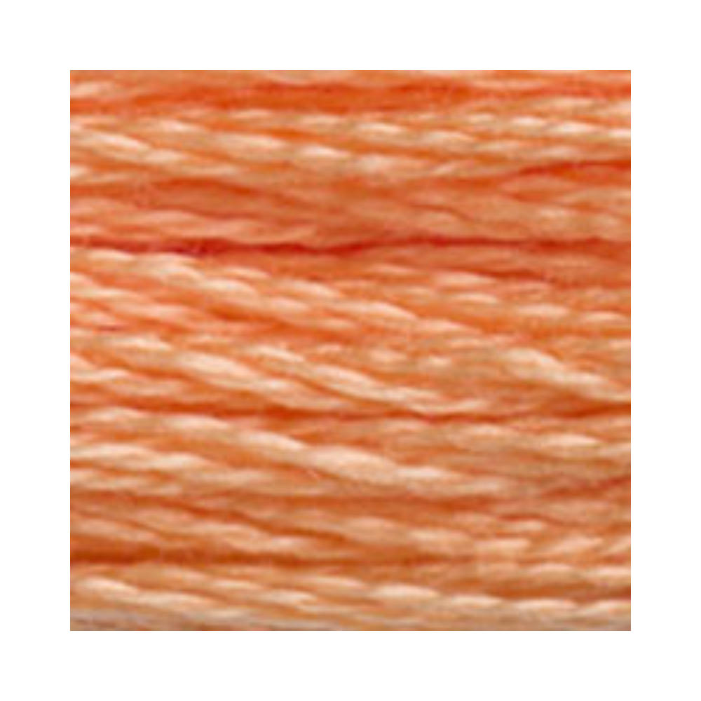 DMC Six-Strand Embroidery Floss
