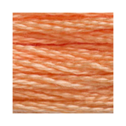 DMC Six-Strand Embroidery Floss