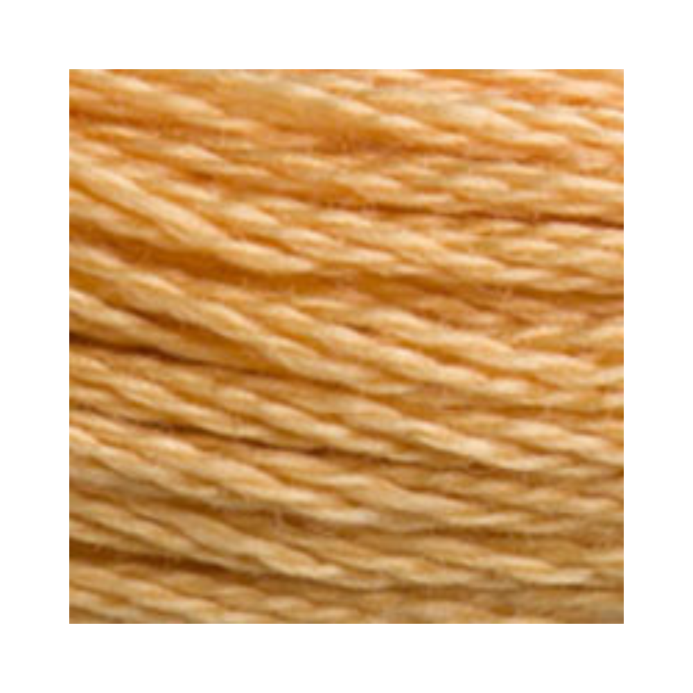 DMC Six-Strand Embroidery Floss