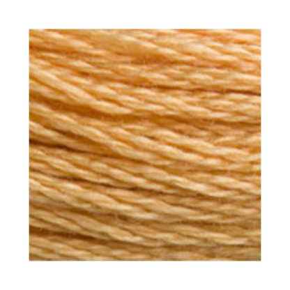 DMC Six-Strand Embroidery Floss