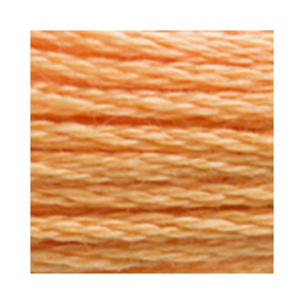 DMC Six-Strand Embroidery Floss