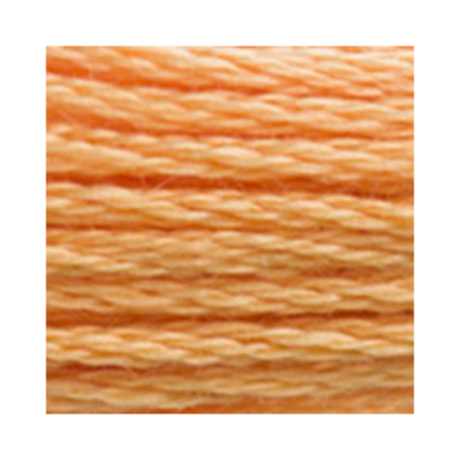 DMC Six-Strand Embroidery Floss