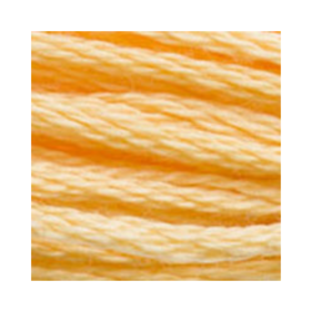 DMC Six-Strand Embroidery Floss