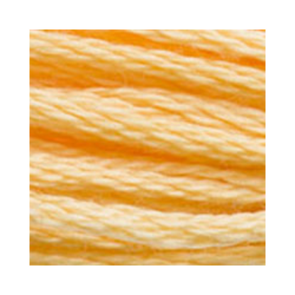 DMC Six-Strand Embroidery Floss