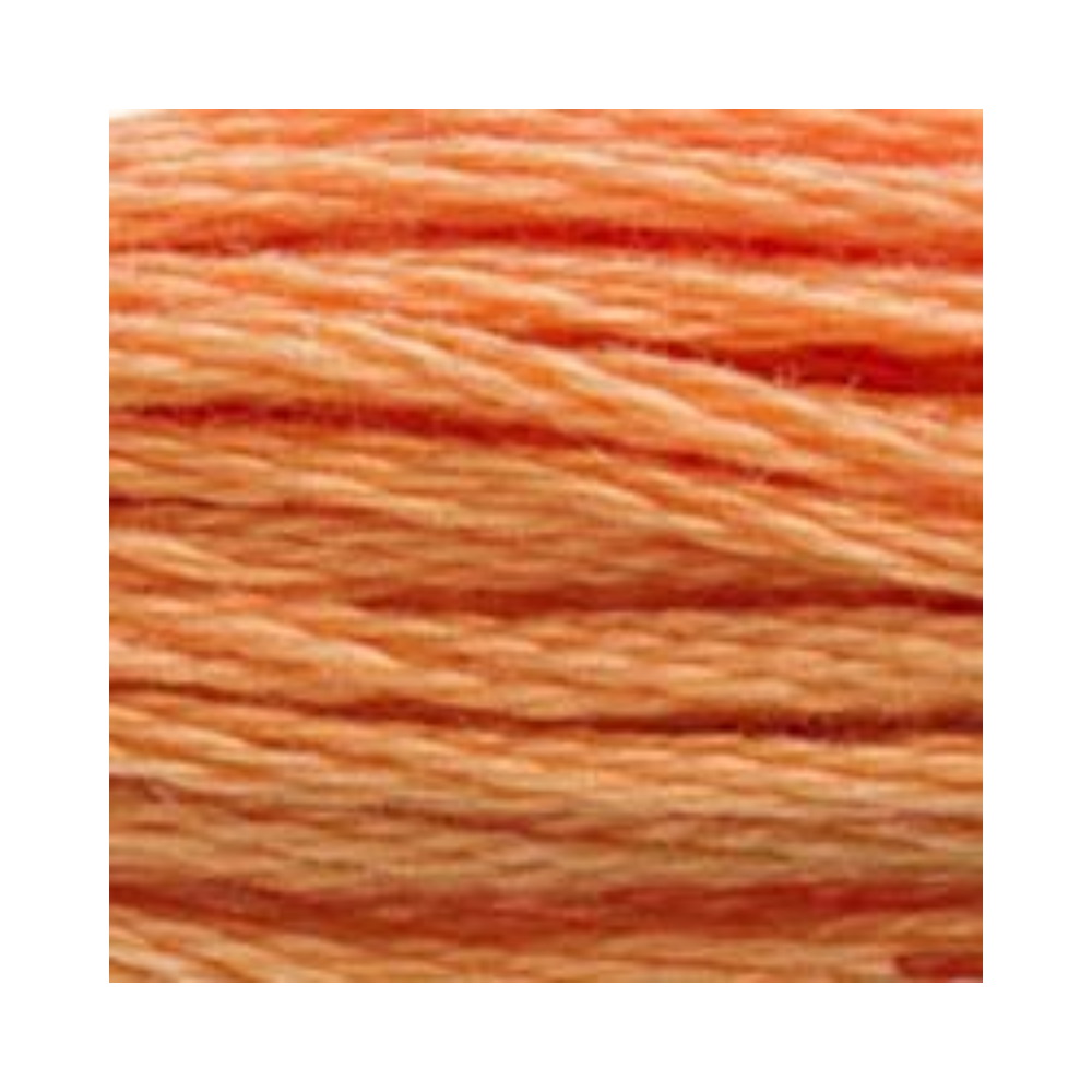 DMC Six-Strand Embroidery Floss