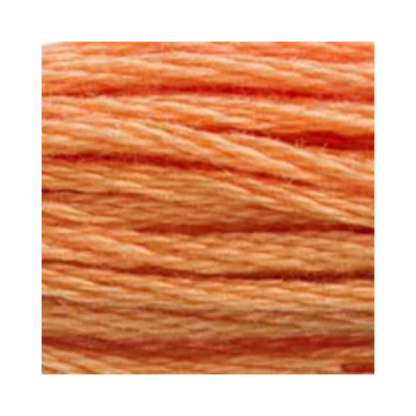DMC Six-Strand Embroidery Floss