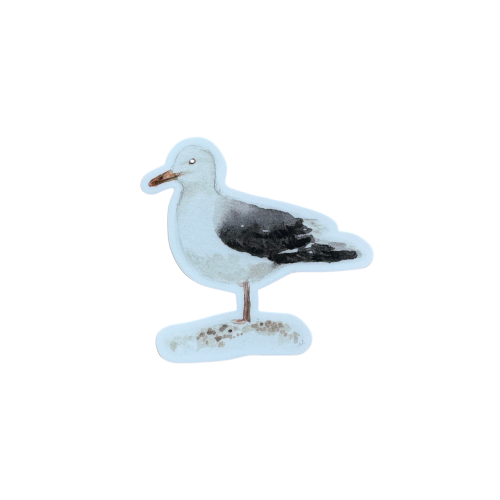 Seagull Sticker