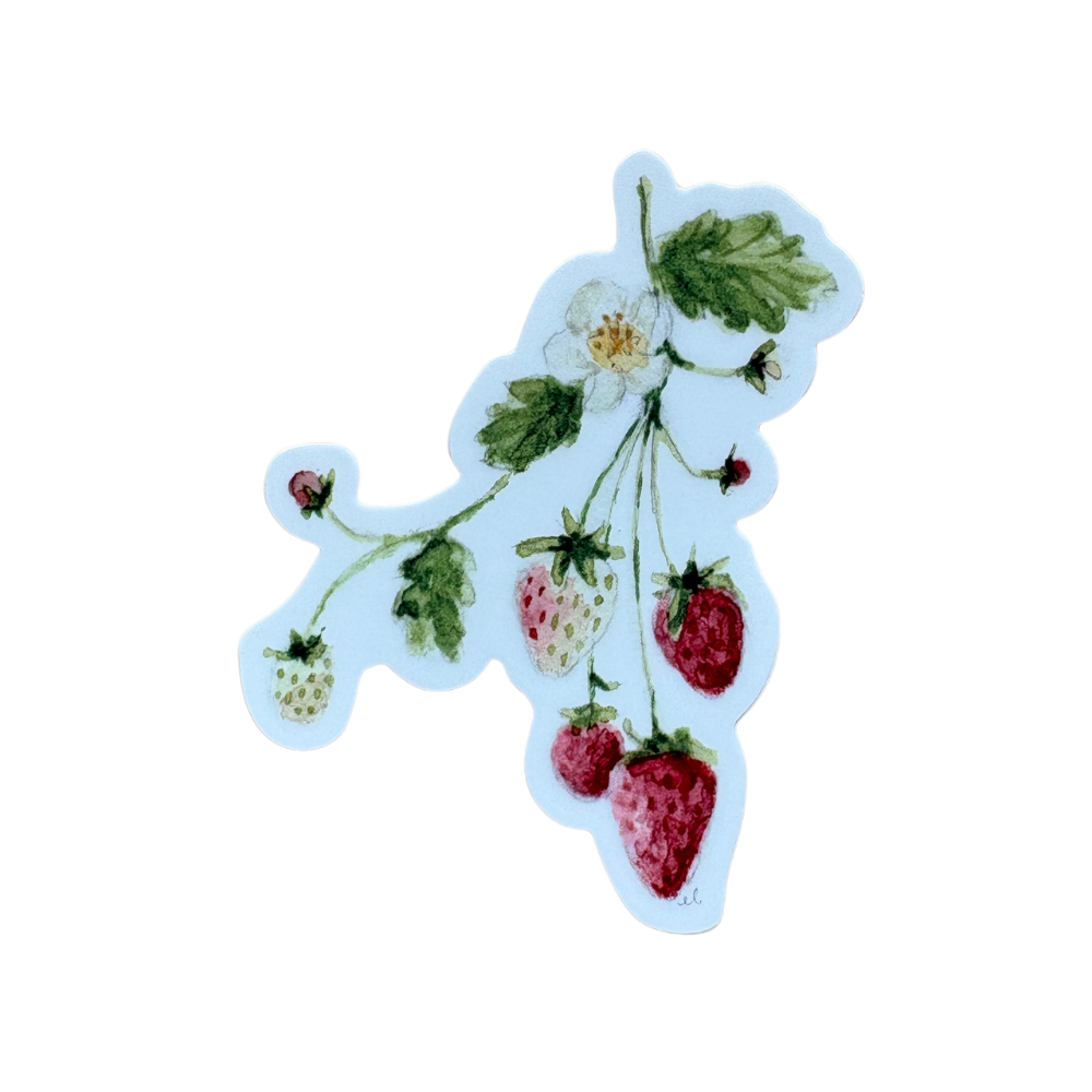 Strawberry Sticker