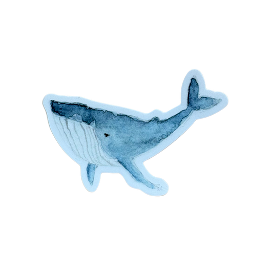 Whale Sticker