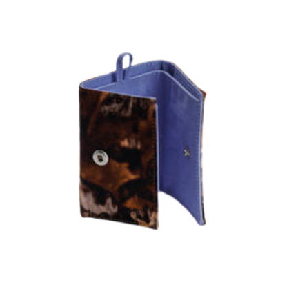 Snap Wallet