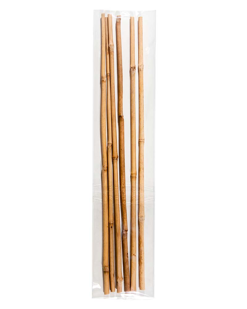 Bamboo Plant Stakes – Daydream Art Supply