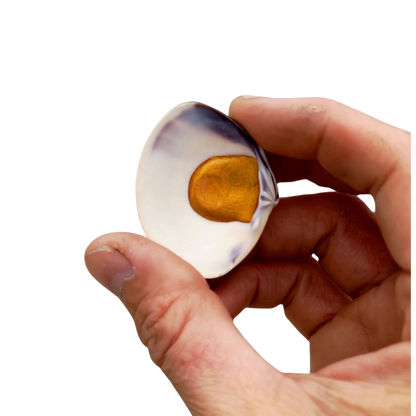 Shell Paints