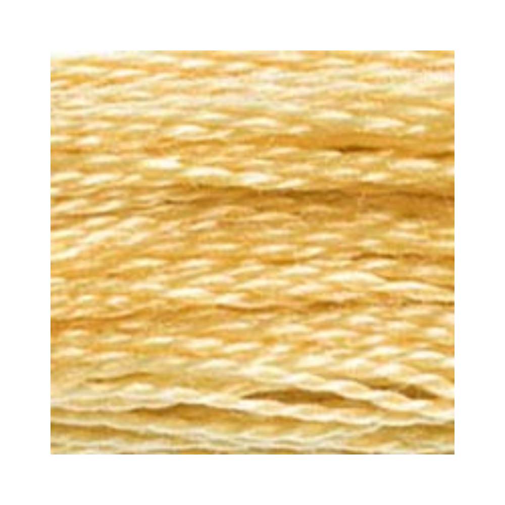 DMC Six-Strand Embroidery Floss
