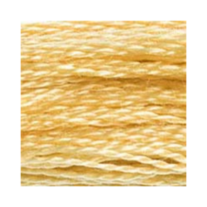 DMC Six-Strand Embroidery Floss
