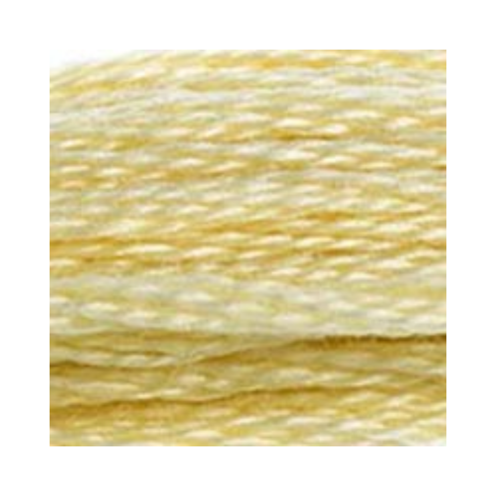 DMC Six-Strand Embroidery Floss