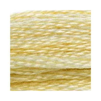 DMC Six-Strand Embroidery Floss