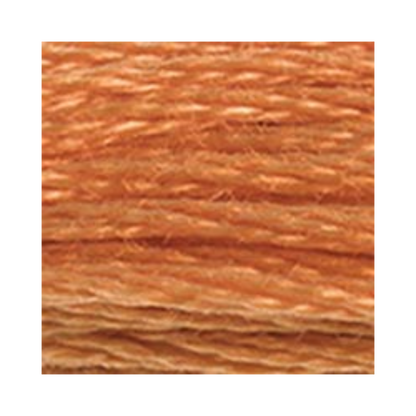 DMC Six-Strand Embroidery Floss