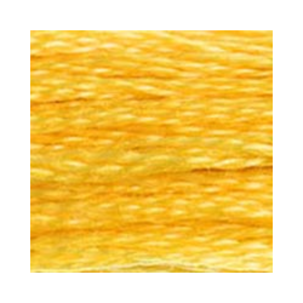 DMC Six-Strand Embroidery Floss