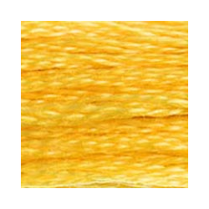 DMC Six-Strand Embroidery Floss