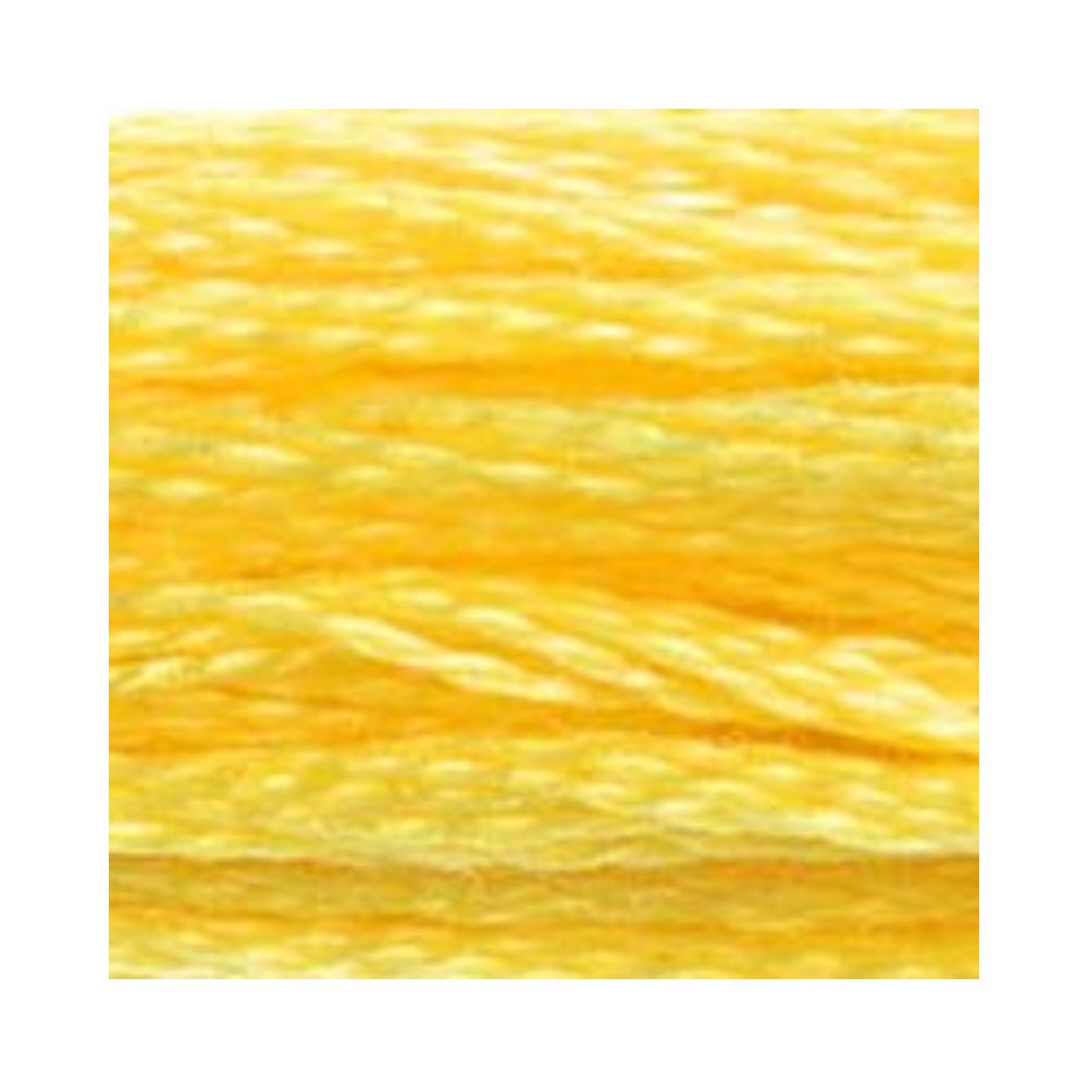 DMC Six-Strand Embroidery Floss