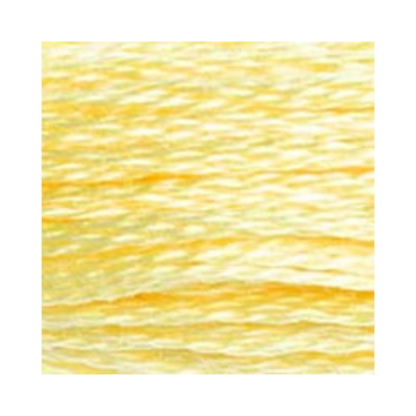DMC Six-Strand Embroidery Floss