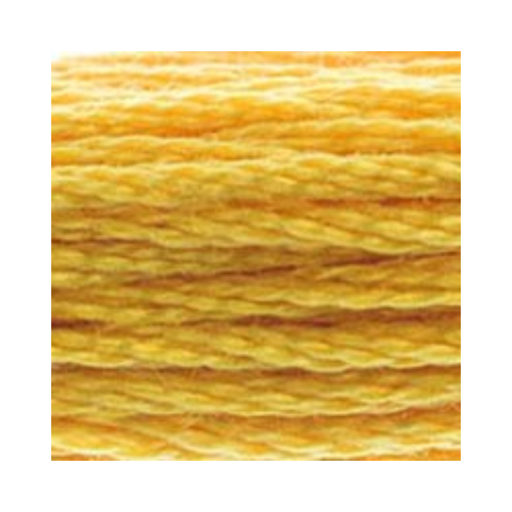 DMC Six-Strand Embroidery Floss