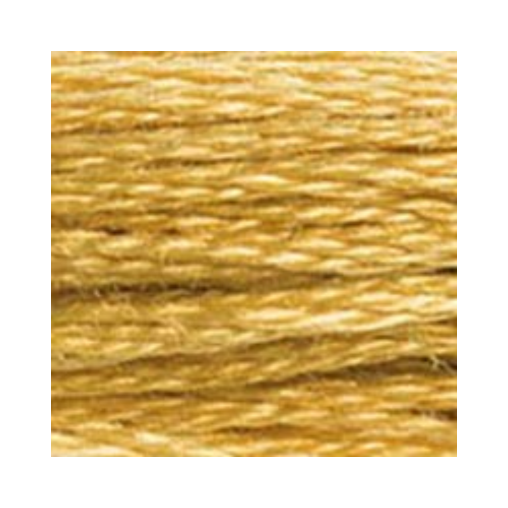 DMC Six-Strand Embroidery Floss