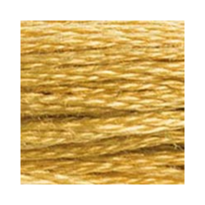 DMC Six-Strand Embroidery Floss