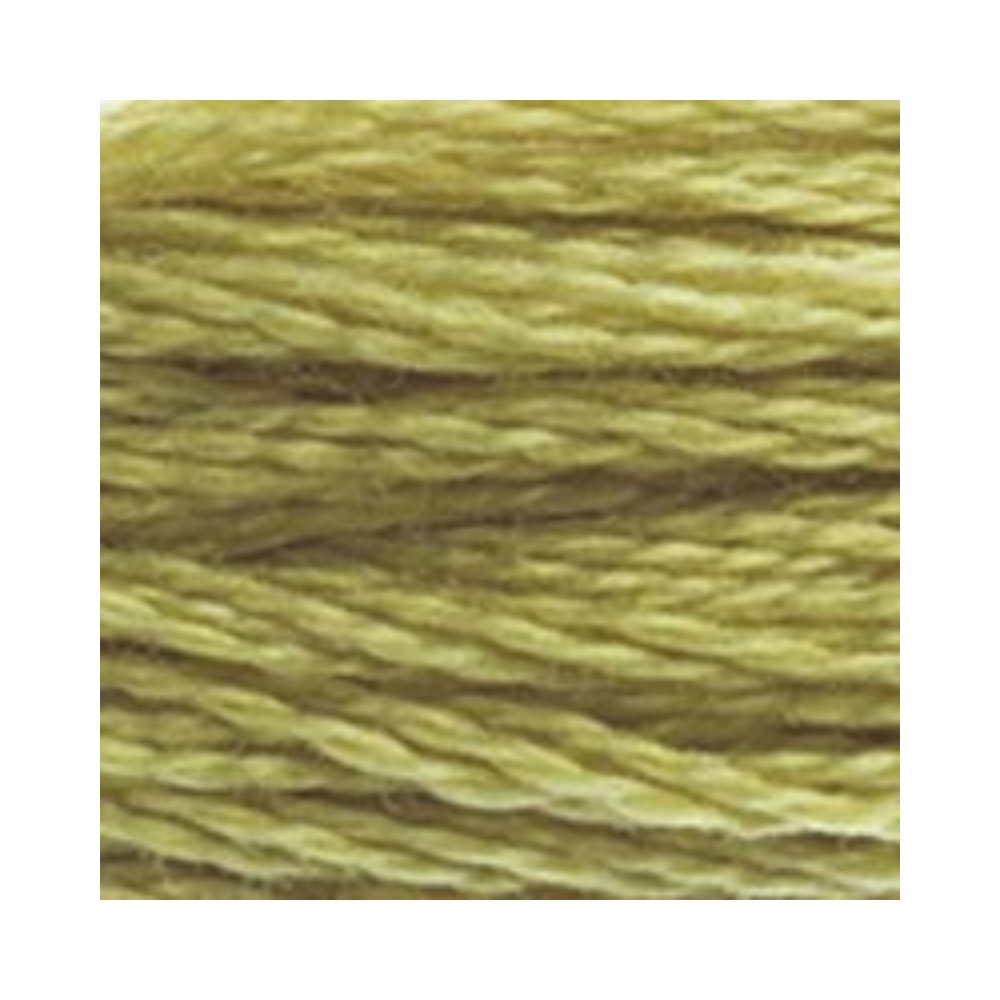DMC Six-Strand Embroidery Floss