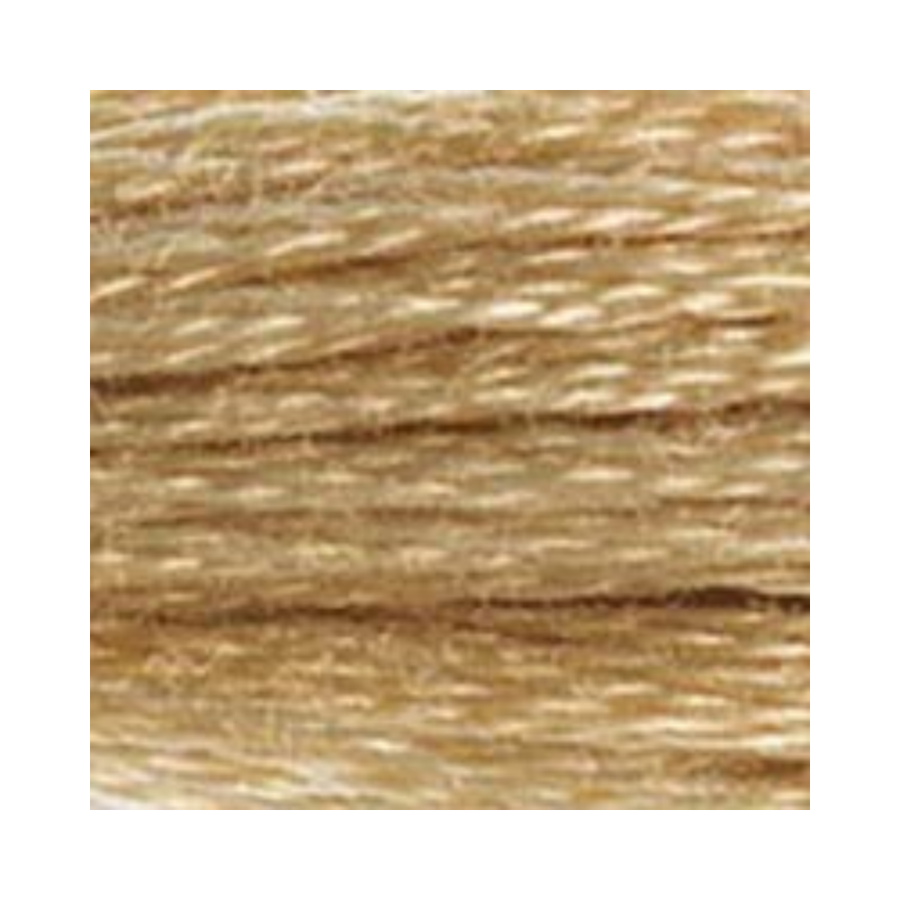 DMC Six-Strand Embroidery Floss
