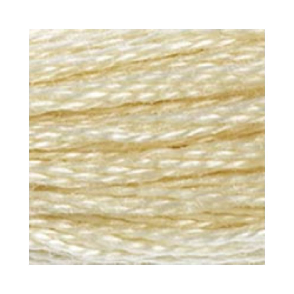 DMC Six-Strand Embroidery Floss