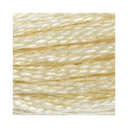 DMC Six-Strand Embroidery Floss