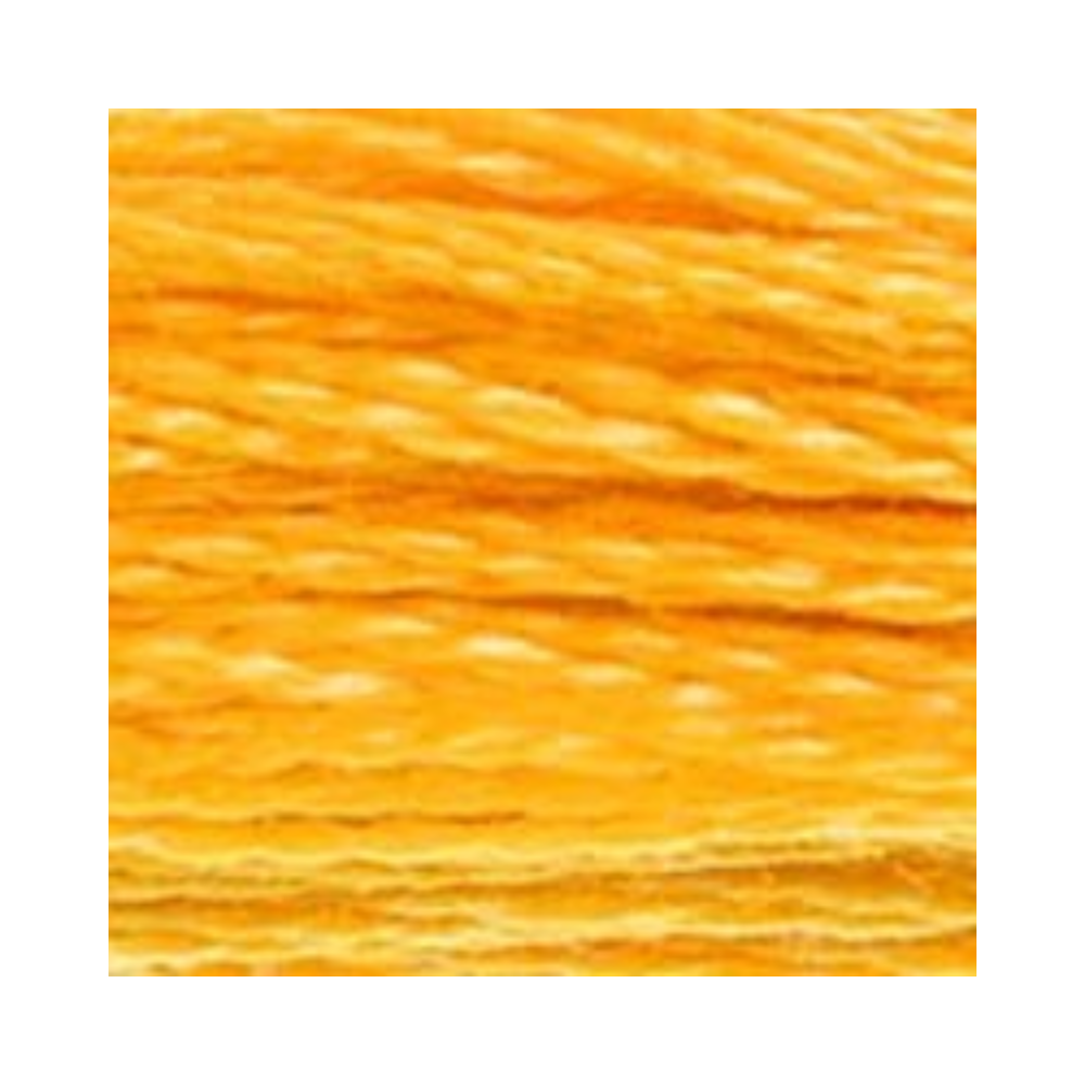 DMC Six-Strand Embroidery Floss