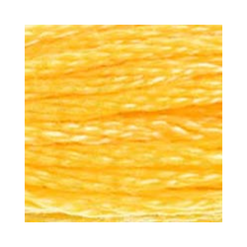 DMC Six-Strand Embroidery Floss