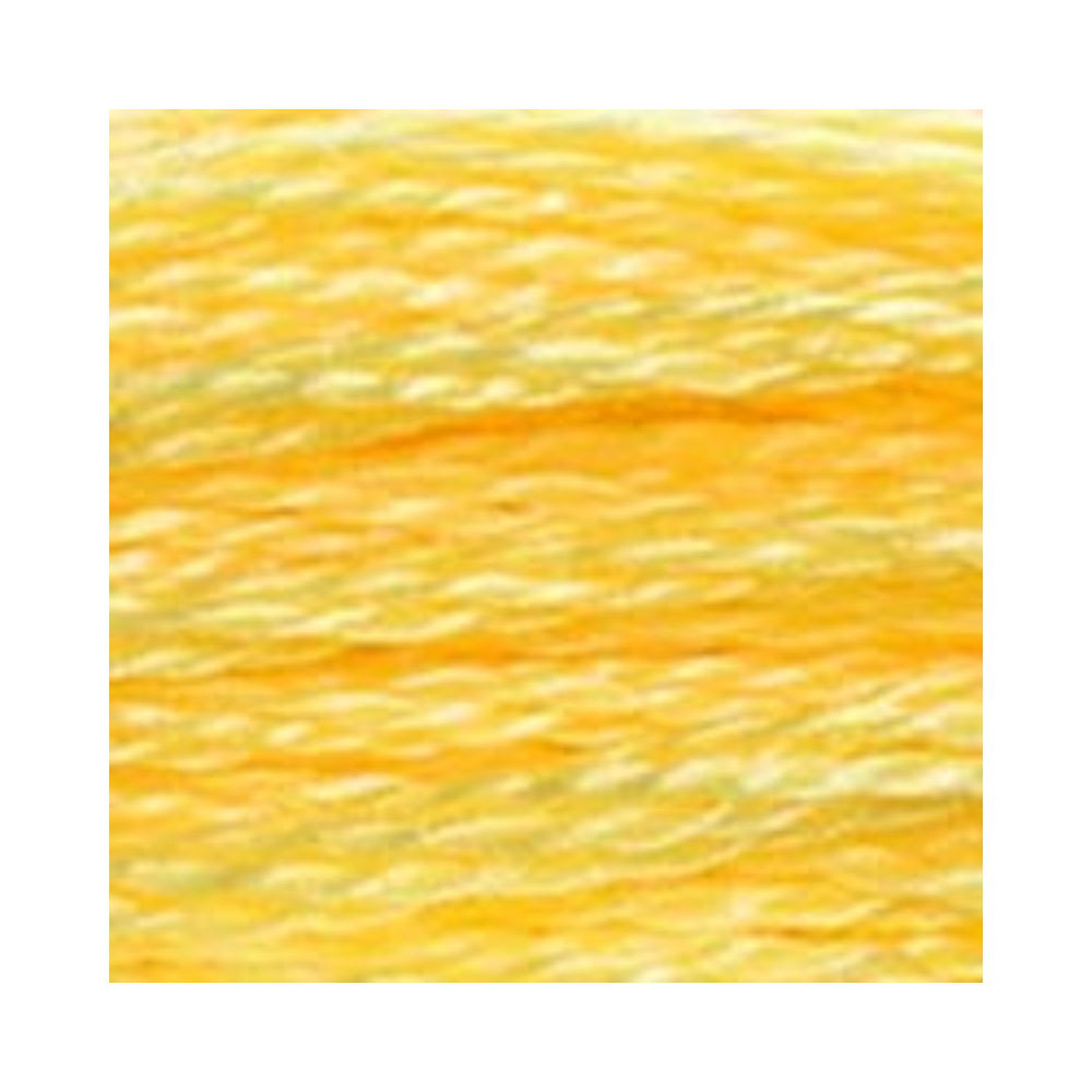 DMC Six-Strand Embroidery Floss