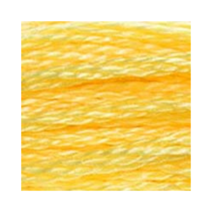 DMC Six-Strand Embroidery Floss