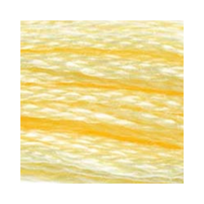DMC Six-Strand Embroidery Floss