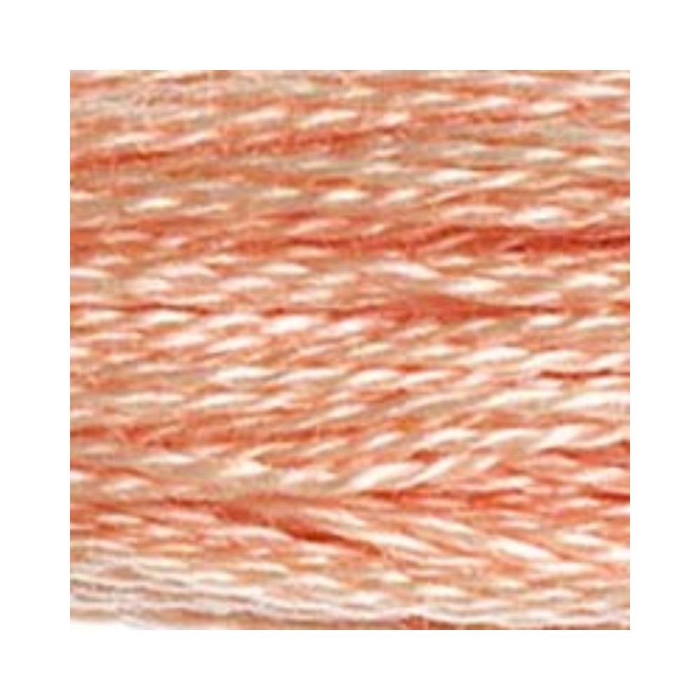 DMC Six-Strand Embroidery Floss