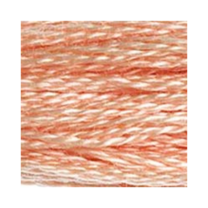DMC Six-Strand Embroidery Floss