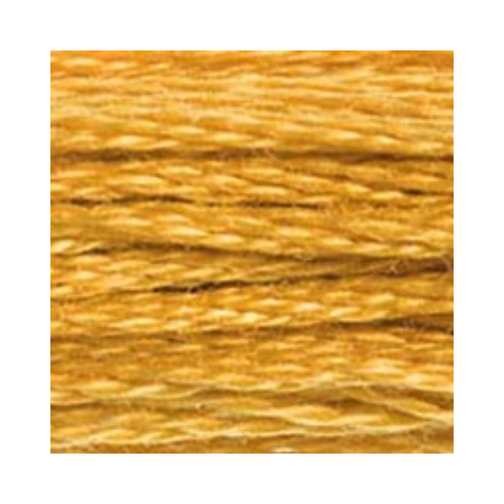 DMC Six-Strand Embroidery Floss
