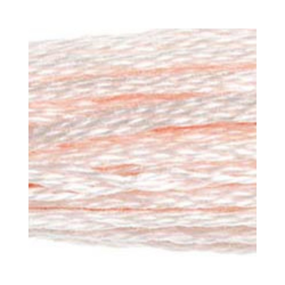 DMC Six-Strand Embroidery Floss