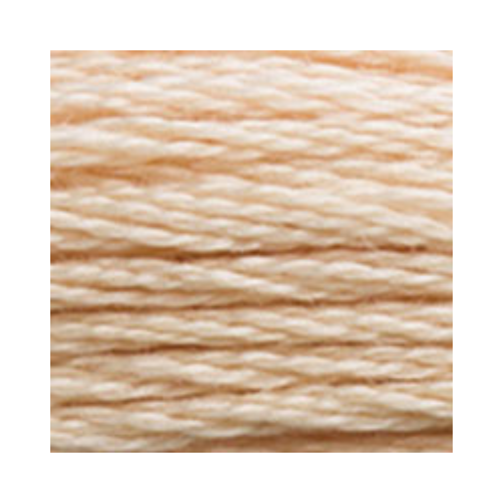 DMC Six-Strand Embroidery Floss
