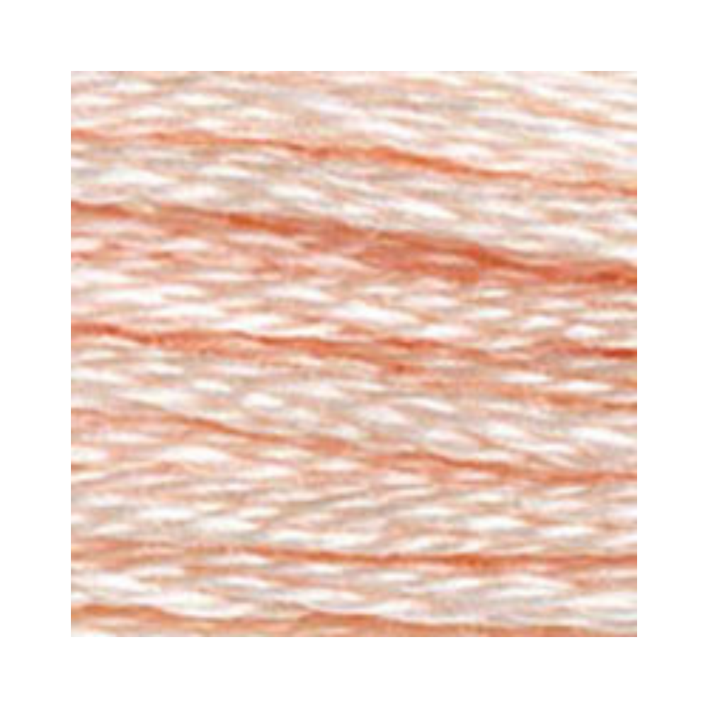 DMC Six-Strand Embroidery Floss