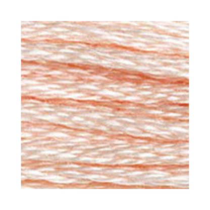 DMC Six-Strand Embroidery Floss