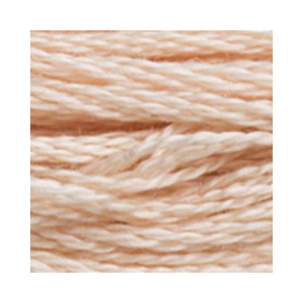 DMC Six-Strand Embroidery Floss